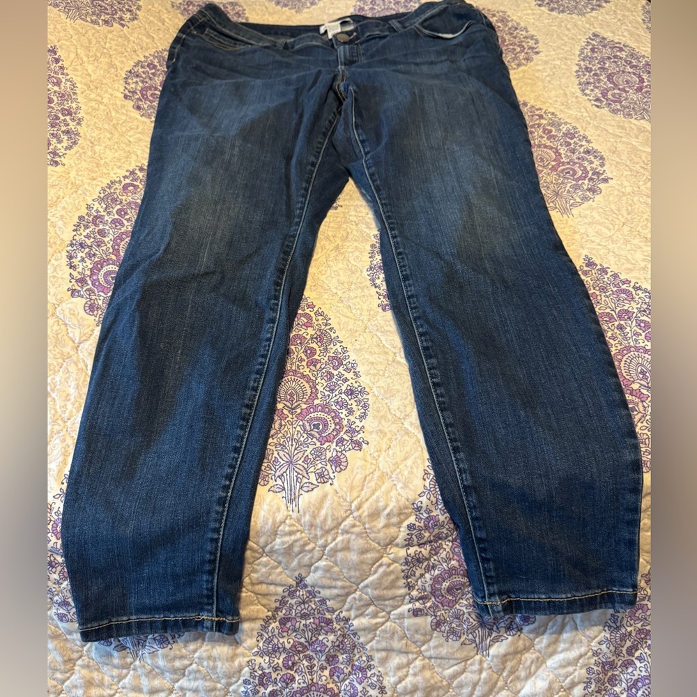 Lane Bryant Dark Blue Skinny Jeans